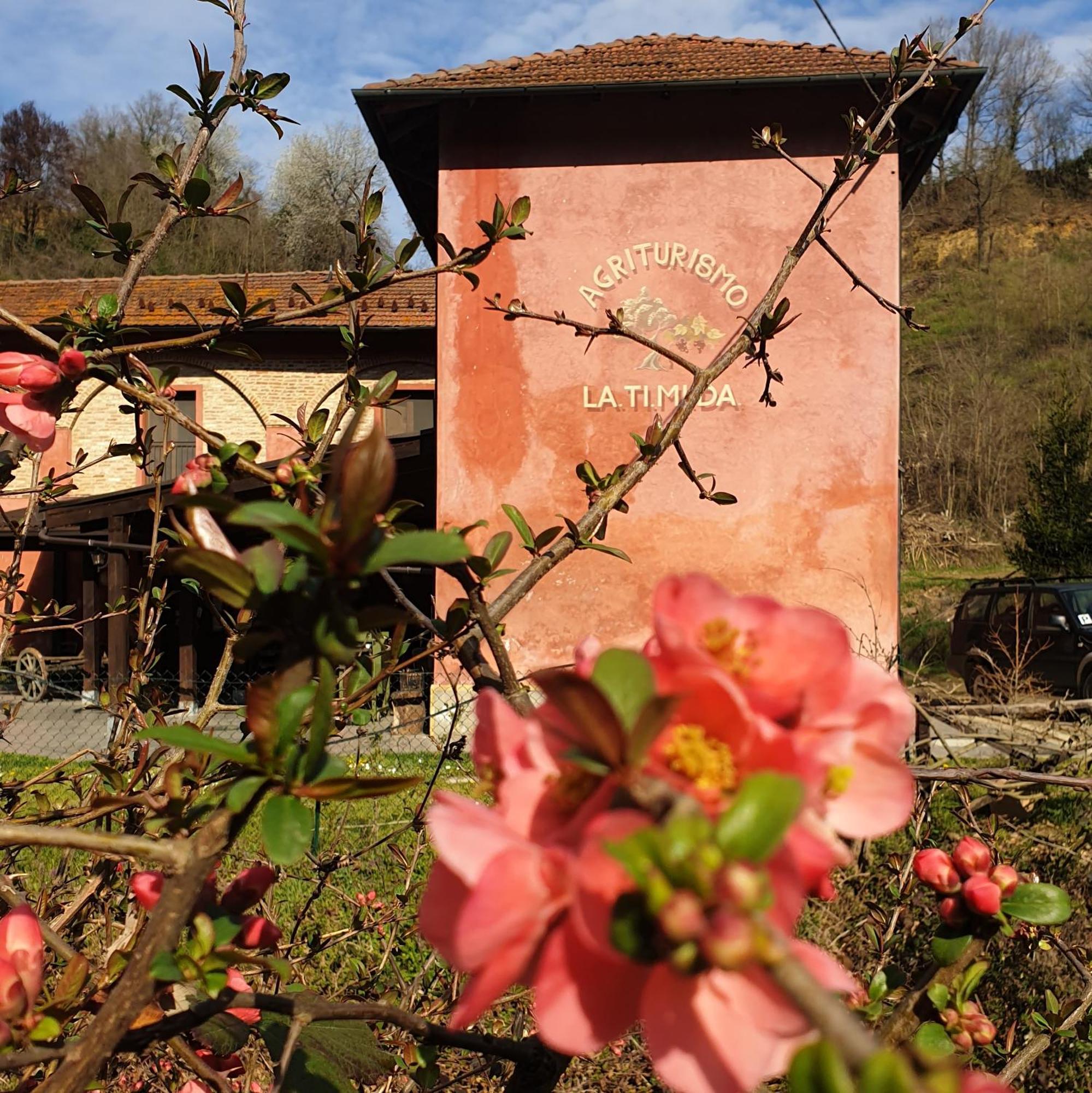 Villa Agriturismo La.Ti.Mi.Da. Cassine Exterior foto